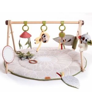 Tiny Love Boho Chic Luxe Developmental Baby Gymini